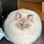 IMG_20250324_072140
