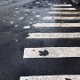 IMG_20250324_072325