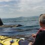 IMG_20250330_081706
