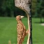 IMG_20250331_072708
