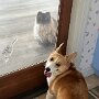 IMG_20250715_064645