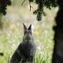 IMG_20260429_065733