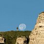 IMG_20260429_065926