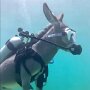 IMG_20260430_065511