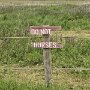 IMG_20260430_065723