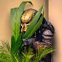 IMG_20260502_084039