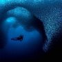 IMG_20260502_084110