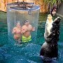 IMG_20260503_080456