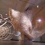 IMG_20260503_080721