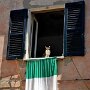 IMG_20260505_064800