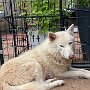 IMG_20260413_095928