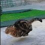 IMG_20260509_091510
