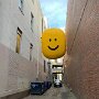 IMG_20260510_101959
