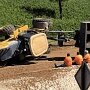 IMG_20260514_070724