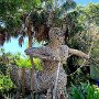 IMG_20260515_071656