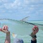 IMG_20260516_081538