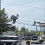 IMG_20260519_065038