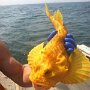 IMG_20260521_072156