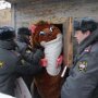 IMG_20260523_074215