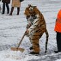 IMG_20260523_074335