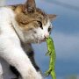 IMG_20260526_071714