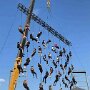 IMG_20260526_071741