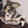 IMG_20260526_071925