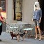 IMG_20260528_070122