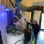 IMG_20260528_070155