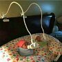 IMG_20260529_055818
