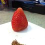 IMG_20260602_073347