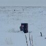 IMG_20260623_065241