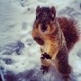 IMG_20260623_065340