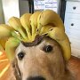 IMG_20260801_141938