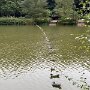 IMG_20260802_145003