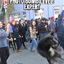 IMG_20260803_140439