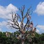 IMG_20260805_141505