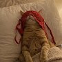 IMG_20260813_135632