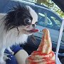 IMG_20260813_135817