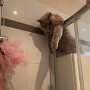 IMG_20260813_135940