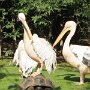 IMG_20260816_131203