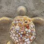 IMG_20260822_151859