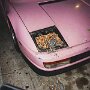 IMG_20260822_152118