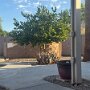 IMG_20260826_070727