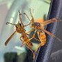 IMG_20260826_135728