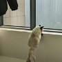 IMG_20260827_140610