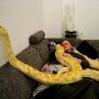 IMG_20260828_140542