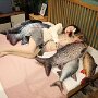 IMG_20260830_141012