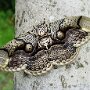 IMG_20260830_141249