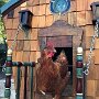 IMG_20260831_135508